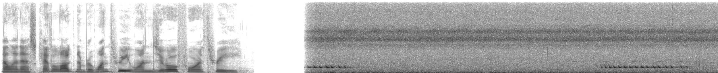 brunryggmaurpitta - ML131043