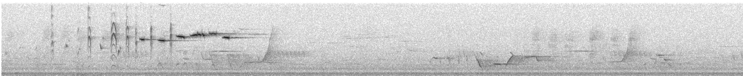Віялохвістка сиза (підвид albiscapa) - ML131051891