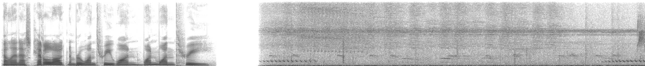 brunryggmaurpitta - ML131113