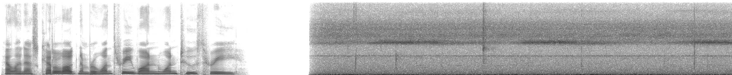 Benekli Yerçavuşu (macularius) - ML131123