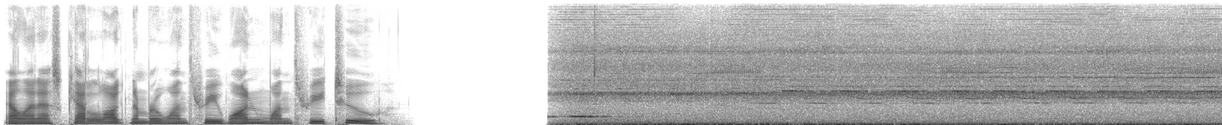 brunryggmaurpitta - ML131132