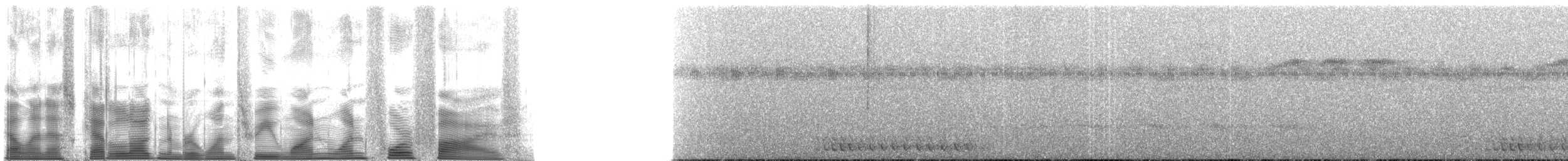 brunryggmaurpitta - ML131145