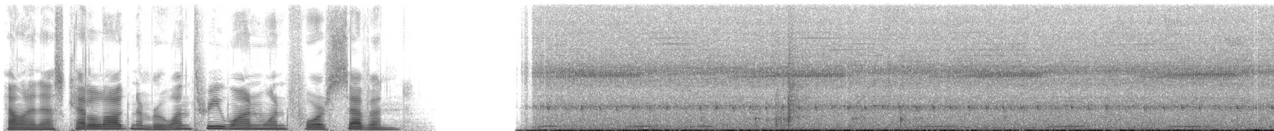 auroraskjeggfugl - ML131147