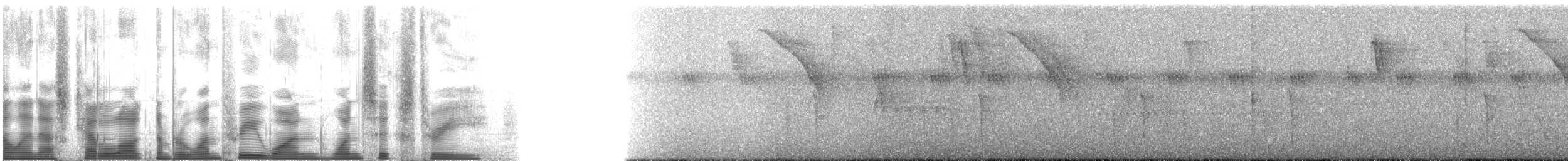 Ласточковый мухолов (ferruginea/sclateri) - ML131163