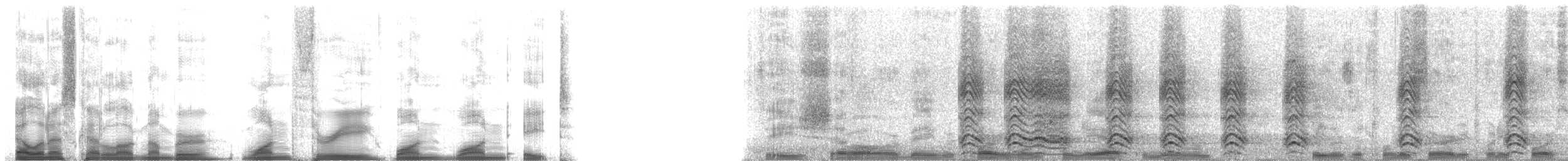 Американская ворона - ML13118