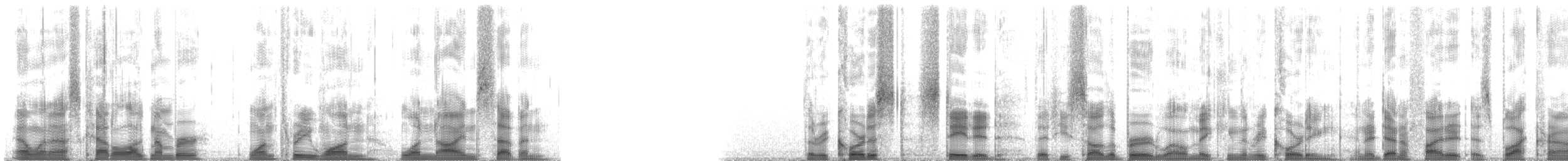 Choco Sirystes - ML131197