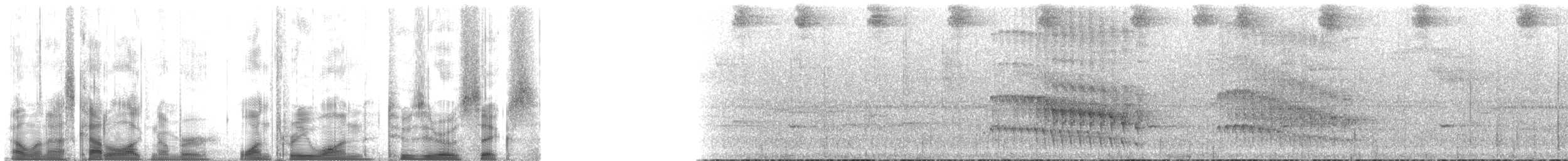 Anabate de Sclater (cervinigularis) - ML131206