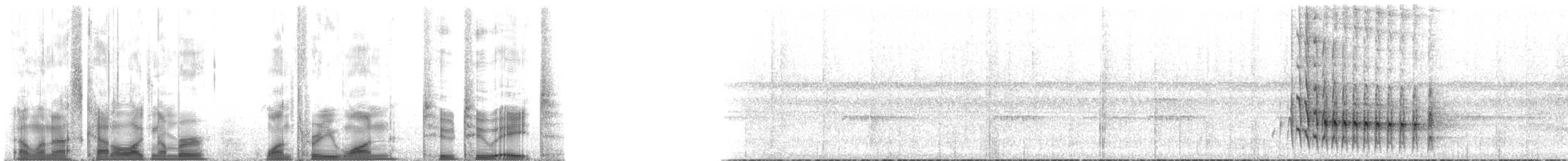 Anabate de Sclater (cervinigularis) - ML131228