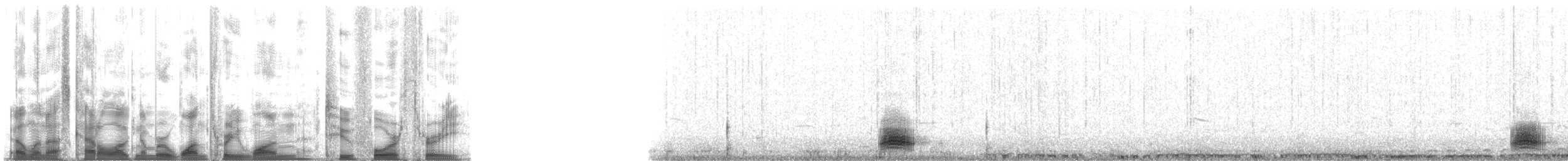 紅喉潛鳥 - ML131243