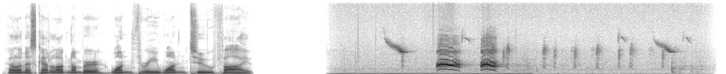 American Crow - ML13125