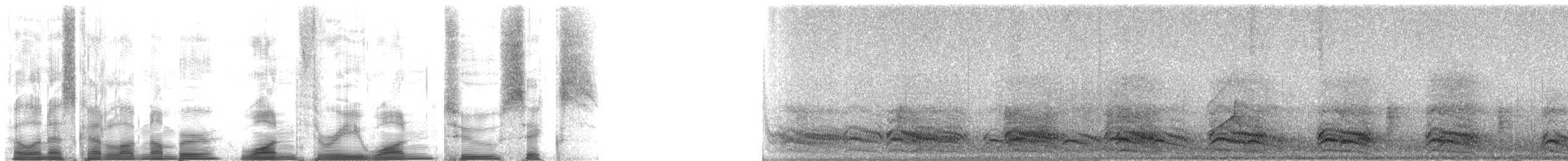 American Crow - ML13126