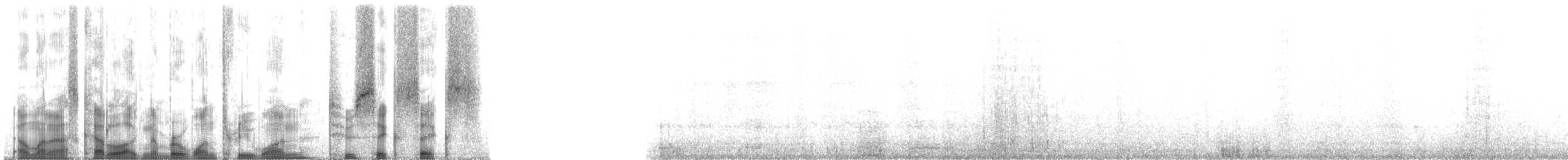 berneška malá (ssp. taverneri) - ML131266