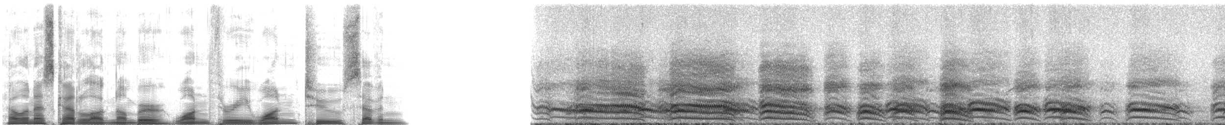 American Crow - ML13127