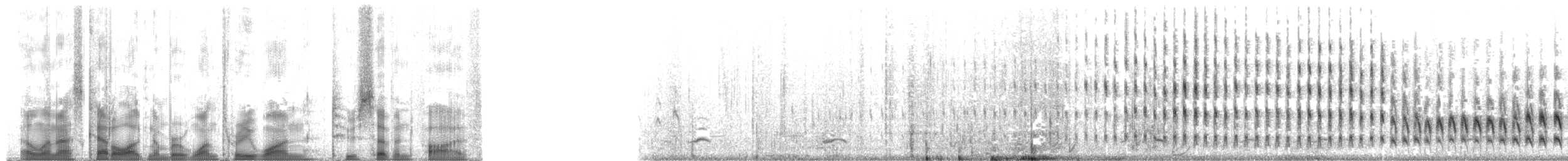 ארנריה אדמונית - ML131275