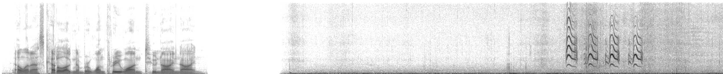 斑尾鷸(baueri群) - ML131299