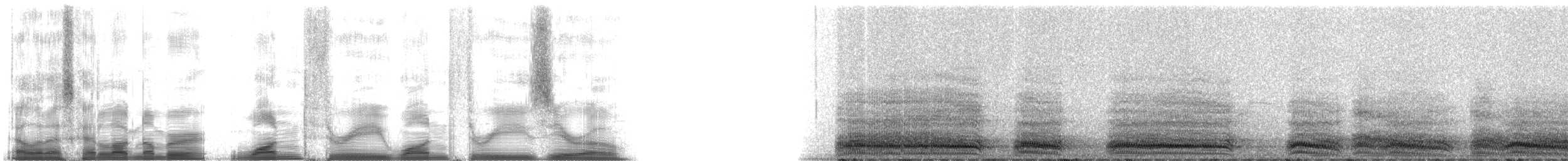 American Crow - ML13130