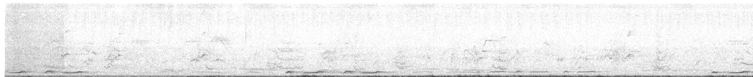 Bar-shouldered Dove - ML131316131