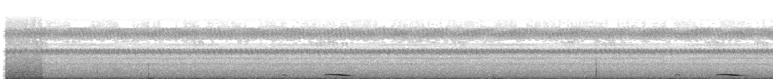 Северная белолицая совка - ML131319601