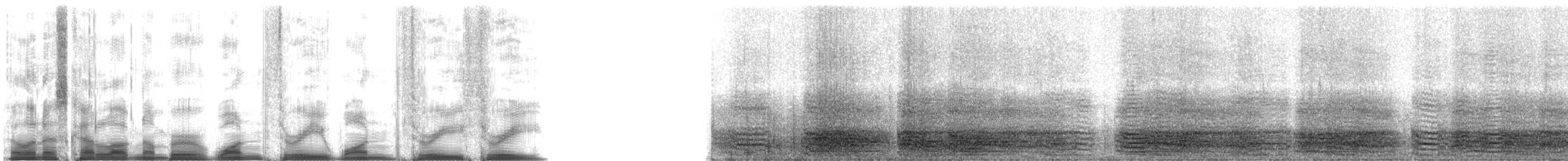 American Crow - ML13133