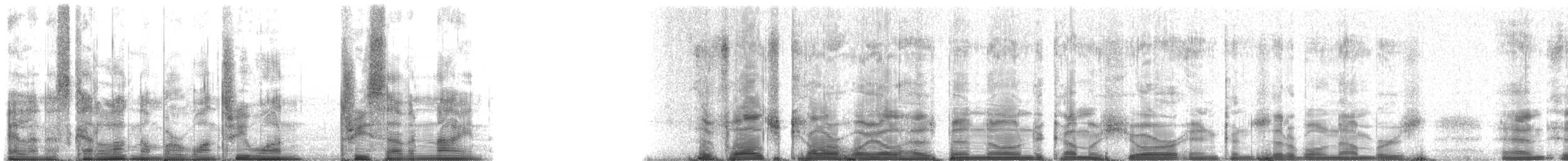 False Killer Whale - ML131379