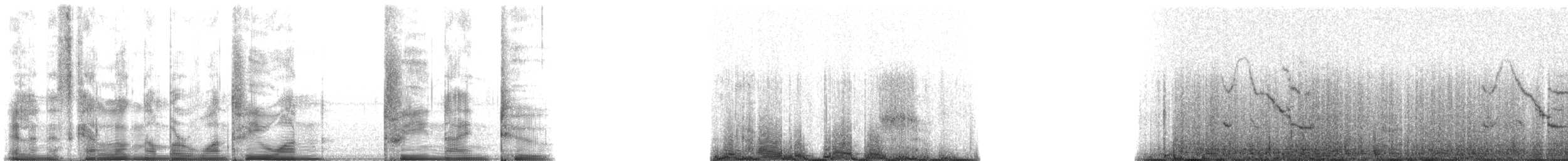 Harbour Porpoise - ML131392