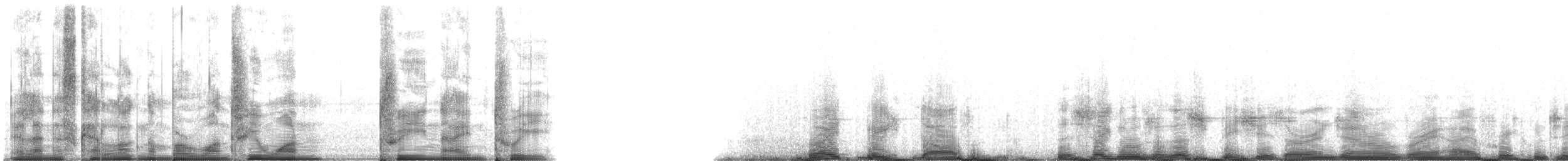 White-beaked Dolphin - ML131393