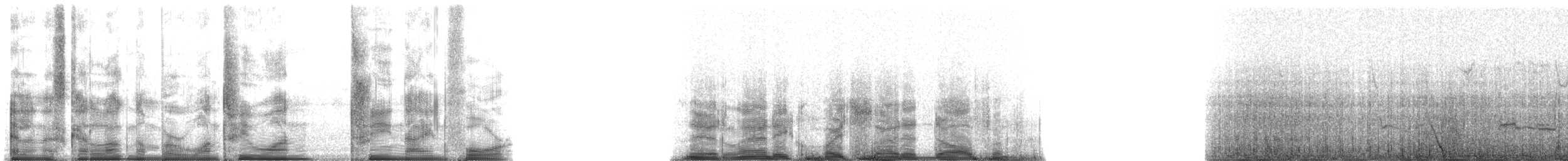 Atlantic White-sided Dolphin - ML131394