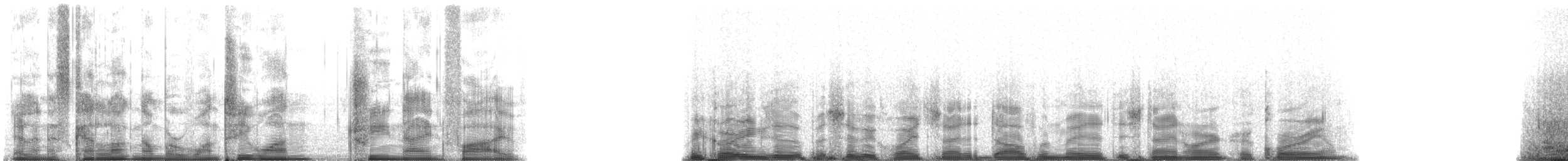 Pacific White-sided Dolphin - ML131395