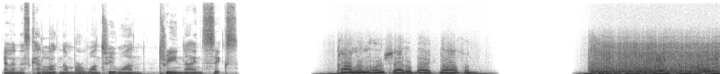 Common Dolphin - ML131396