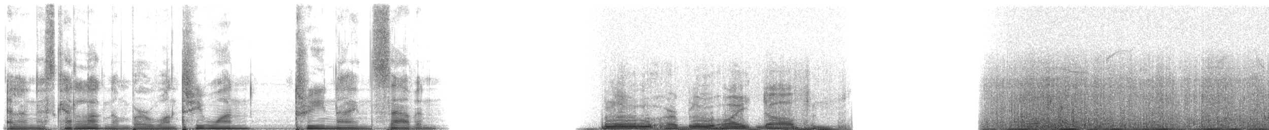 Striped Dolphin - ML131397