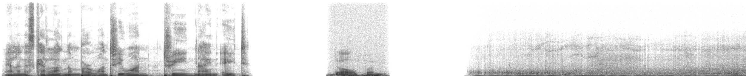 Oceanic Dolphins - ML131398