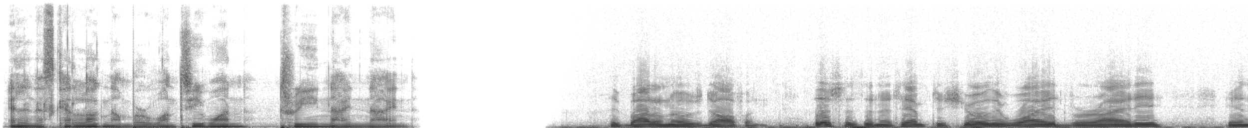 Common Bottlenose Dolphin - ML131399