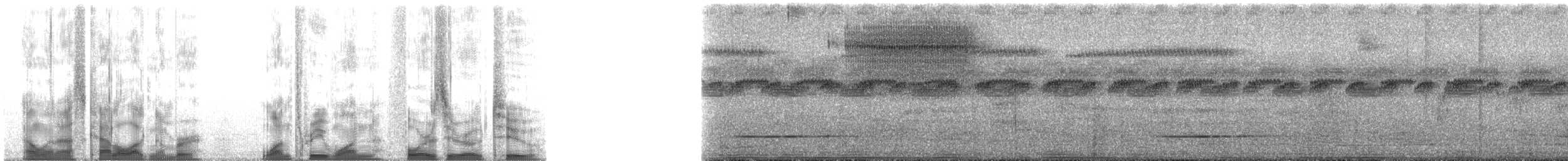 Cinereous Tinamou - ML131402