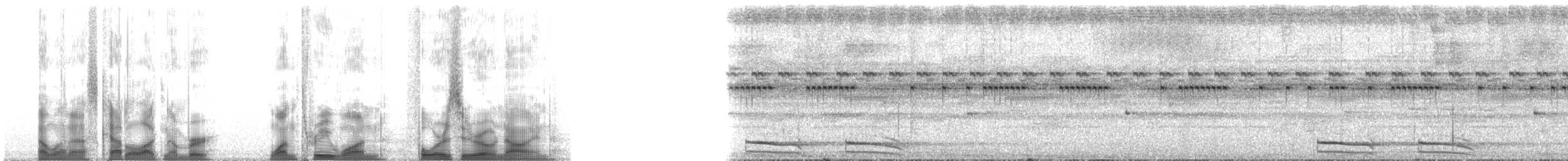 Augennachtschwalbe - ML131409