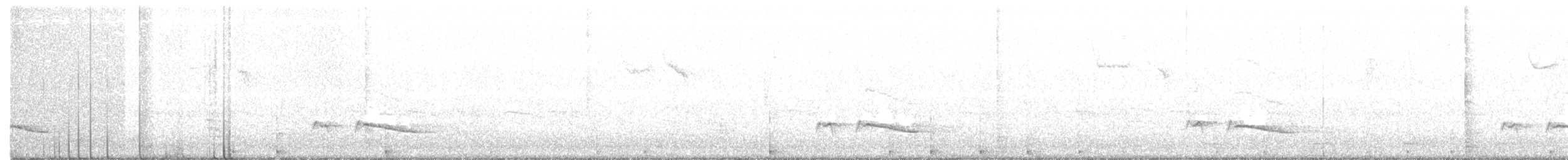 Carolina Wren - ML131428091