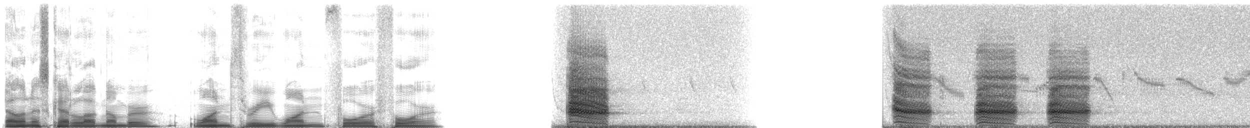 American Crow - ML13144