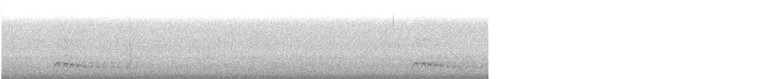 svarthaleketsal - ML131458241