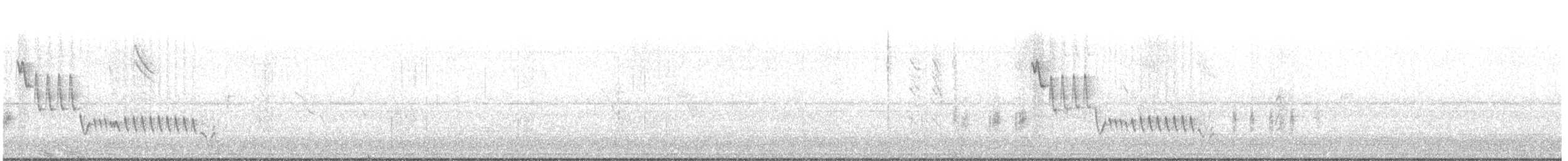 Southern House Wren - ML131463311