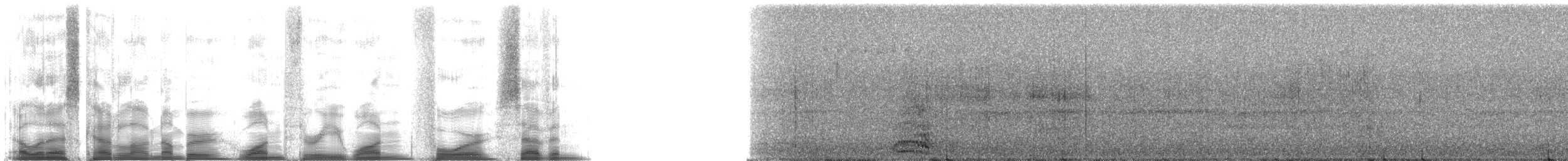 Common Raven - ML13147