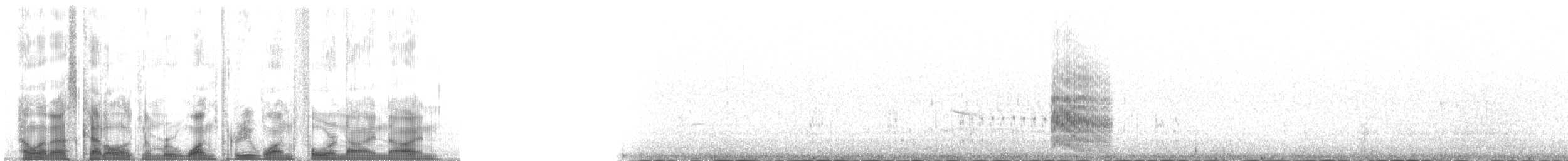 Arctic Tern - ML131499