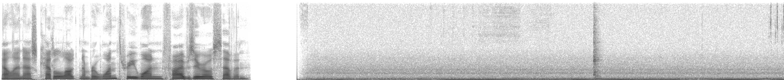 Handsome Meadow Katydid - ML131507