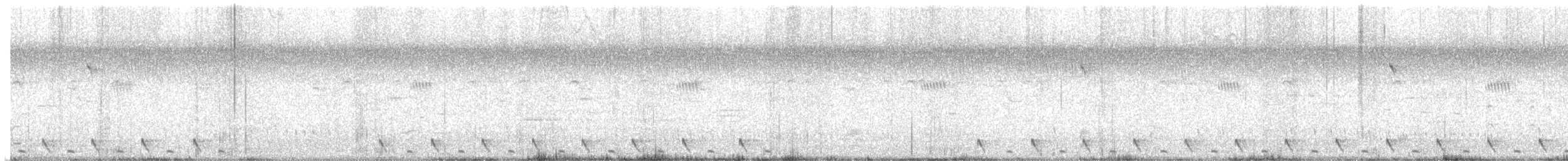 Dschungelnachtschwalbe - ML131511131