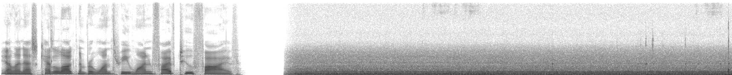 Texas Bush Katydid - ML131525