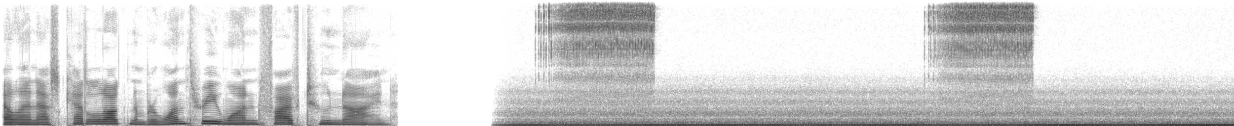 Agile Meadow Katydid - ML131529