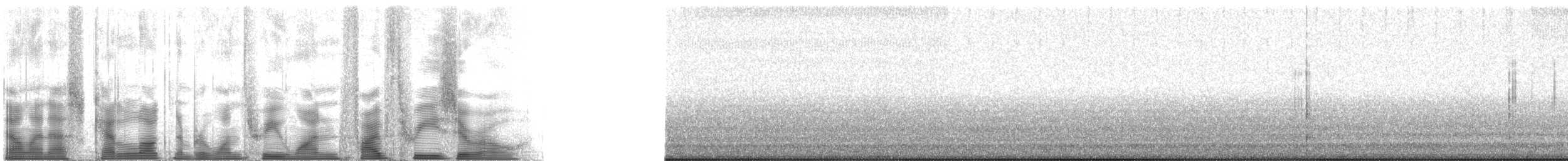 Agile Meadow Katydid - ML131530