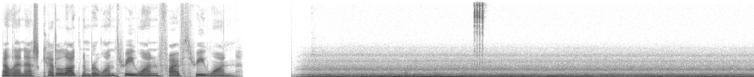 Texas Bush Katydid - ML131531