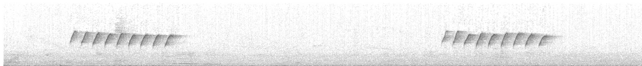 White-browed Gnatcatcher - ML131550691