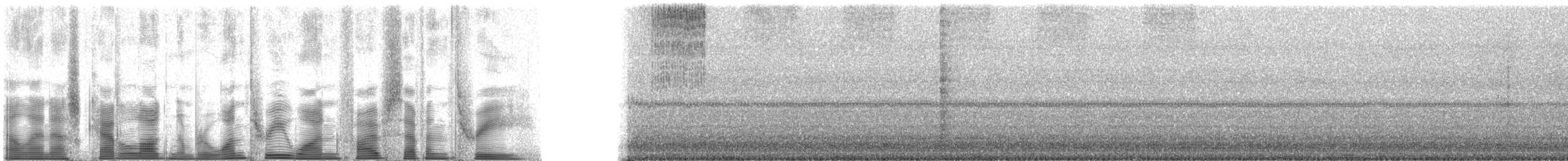 robust shieldback - ML131573