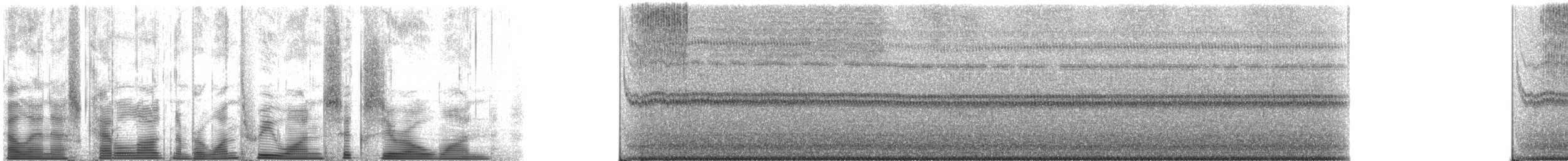 robust shieldback - ML131601