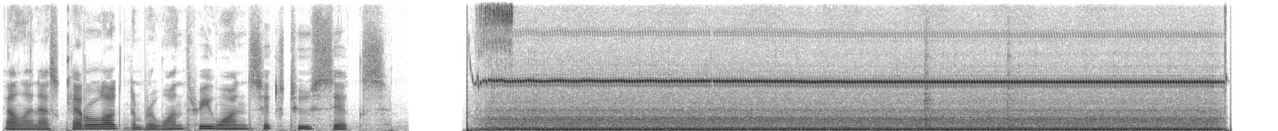 robust shieldback - ML131626